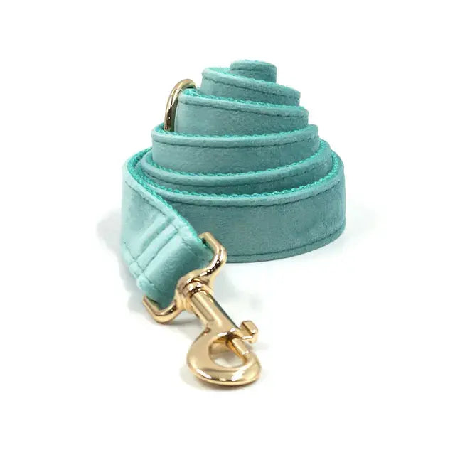 Tiffany Blue Luxury Dog Harness