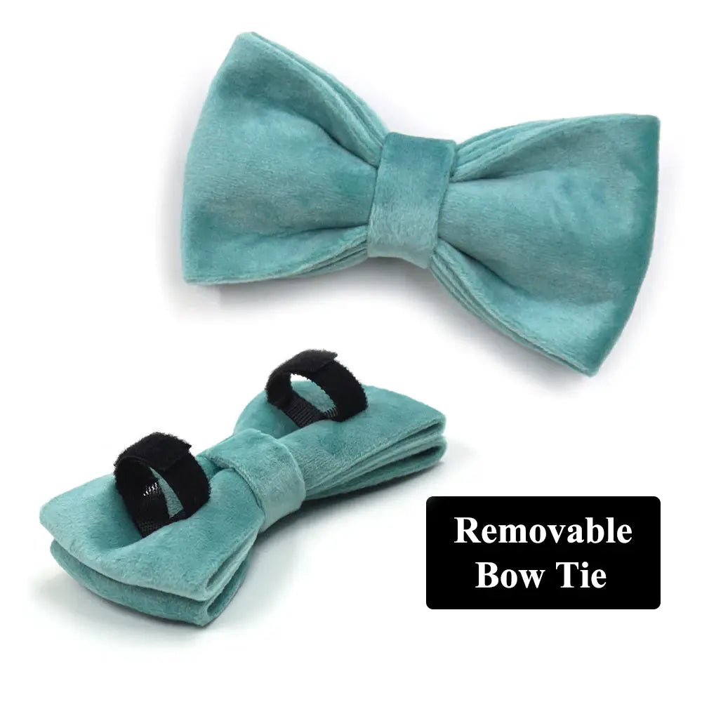 Tiffany Blue Luxury Dog Harness